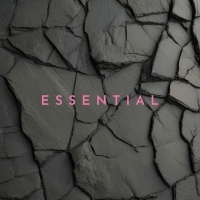 Vocal track with dynamic synthesizers.