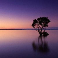 Obra relajante para piano.